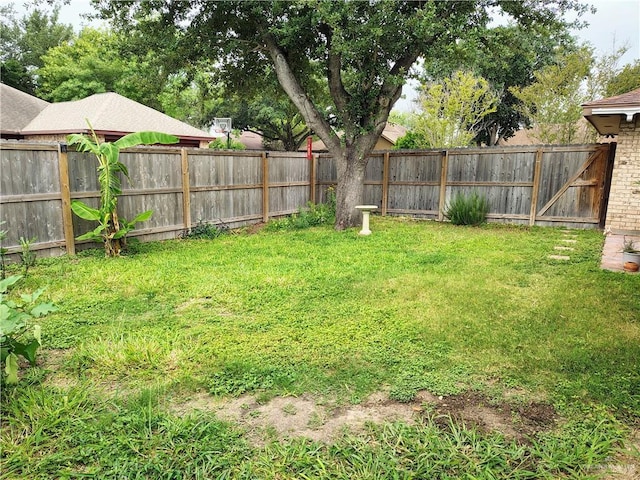 2513 Sandpiper Ave, Mcallen, TX 78504 - view of yard
