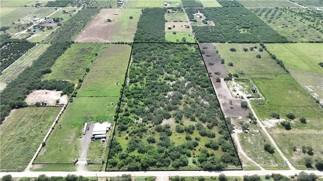 0 N Texan Rd, Edinburg, TX 78541 - photo 1