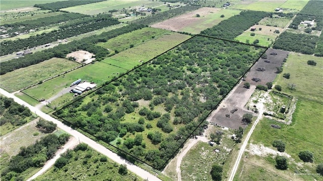 0 N Texan Rd, Edinburg, TX 78541 - photo 3