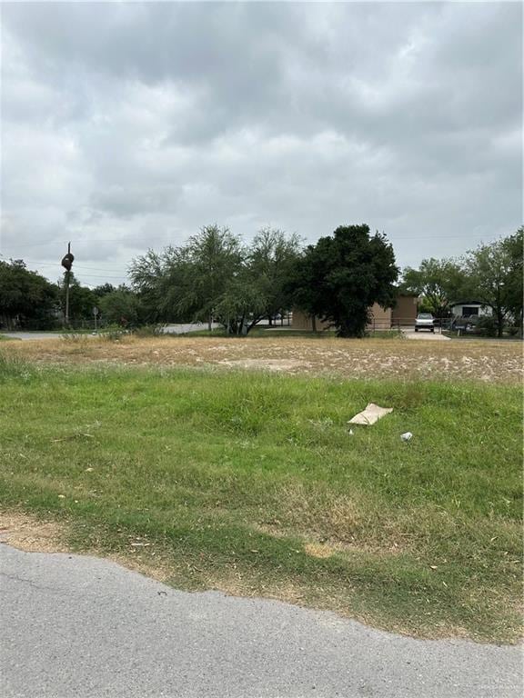 403 Conchita Dr, Hidalgo, TX 78557