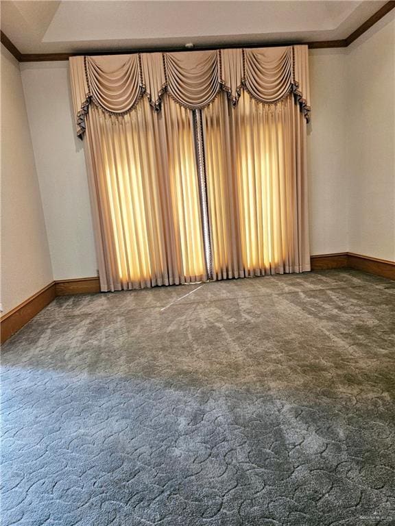 spare room with crown molding, carpet flooring, and a raised ceiling