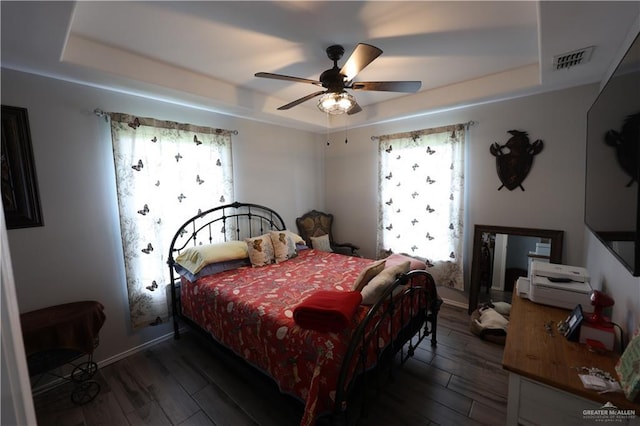 29082 Reynolds Dr, La Feria, TX 78559 - bedroom featuring a tray ceiling, multiple windows, and dark wood-style floors