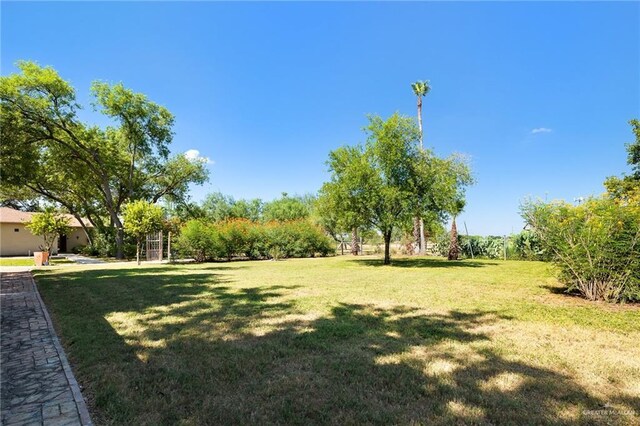605 S Hutto Rd, Donna, TX 78537 - photo 37