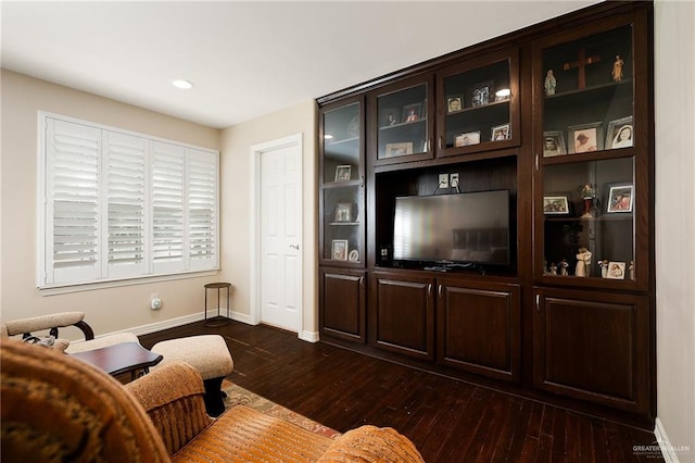 living room featuring dark hardwood / wood-style floors