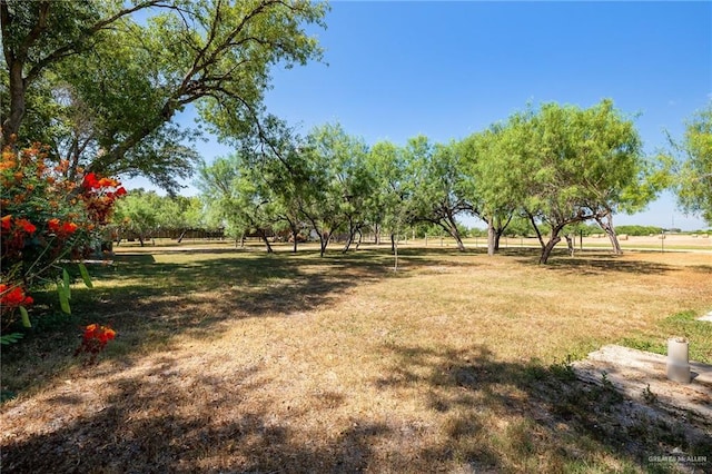 view of yard featuring a rural view