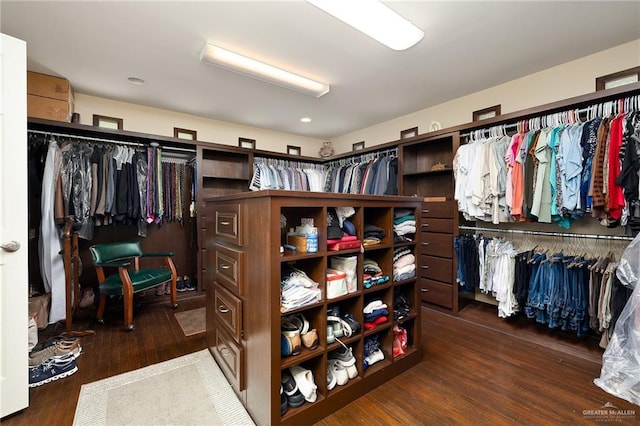 spacious closet with dark hardwood / wood-style flooring