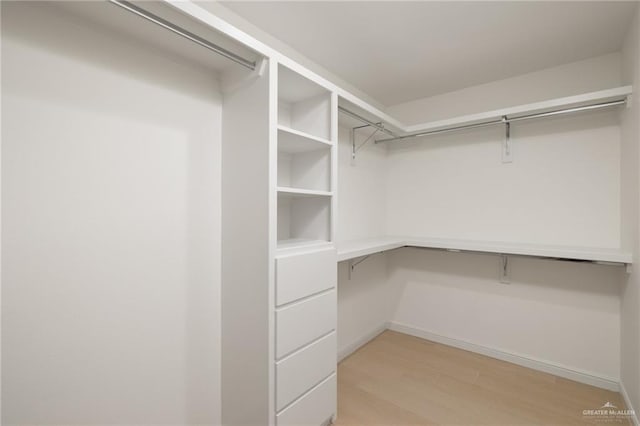walk in closet featuring light wood-style floors