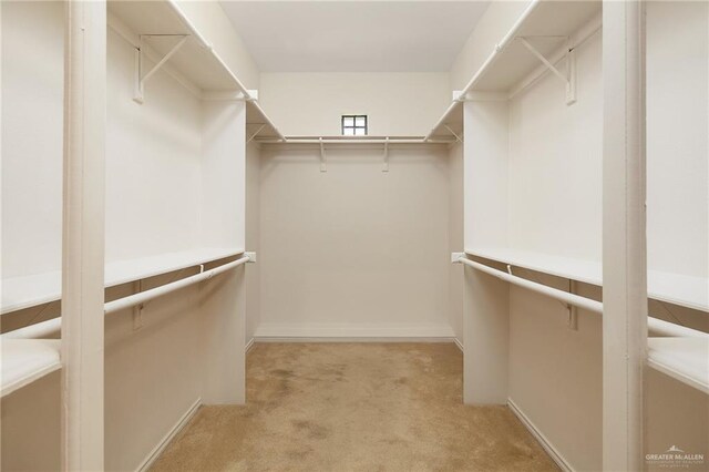 2729 Biltmore Ave, Edinburg, TX 78539 - spacious closet with light colored carpet
