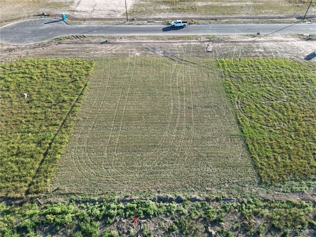 1014 Highland Ave, Weslaco, TX 78599