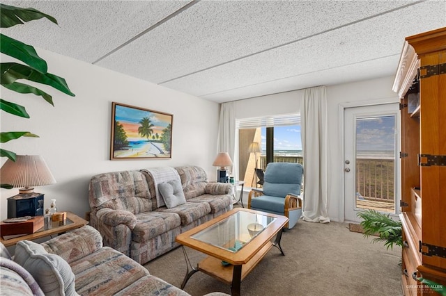 living room featuring carpet and a textured ceiling