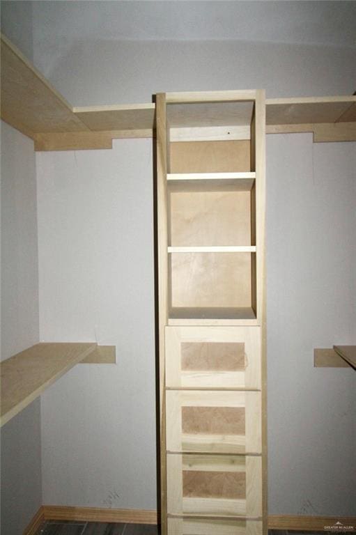 1334 S 9th St, Alamo, TX 78516 - view of closet