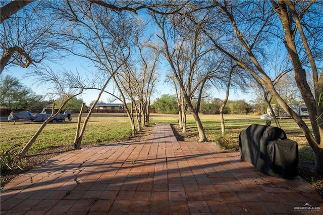 view of community featuring a yard