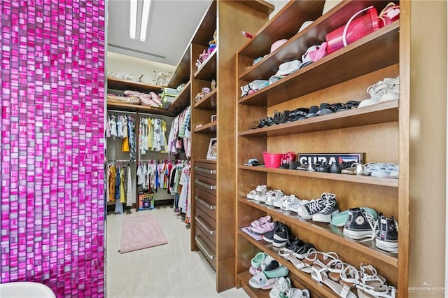 view of spacious closet