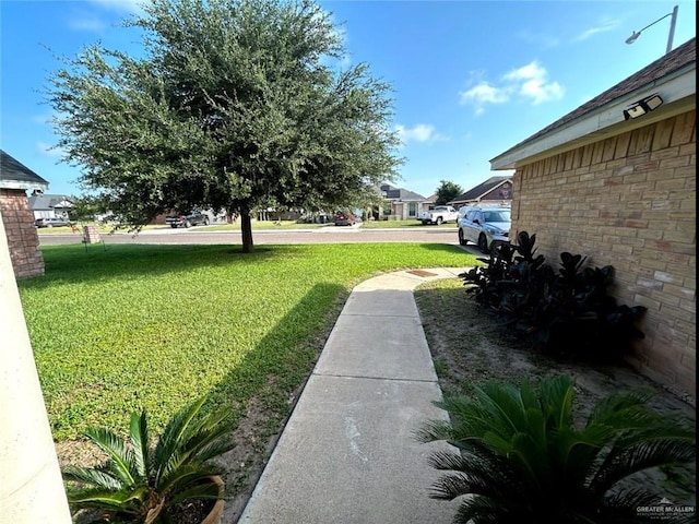 205 Msg Mario A Solis Ln, La Villa, TX 78562 - view of grassy yard