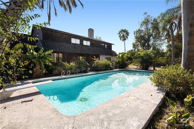 view of pool with a diving board