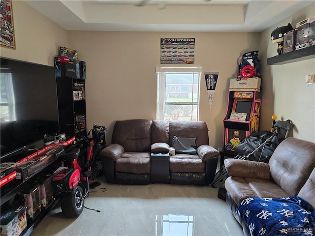 living room with a raised ceiling