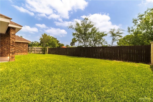 1704 Yellow Stone St, Edinburg, TX 78542 - view of yard