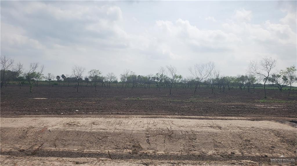 893 W Mile 13 N, Weslaco, TX 78599 - photo 1
