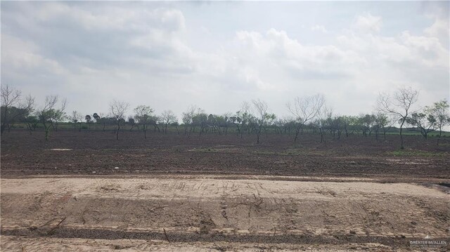 893 W Mile 13 N, Weslaco, TX 78599 - photo 1