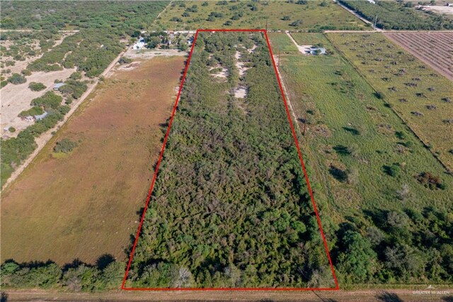 000 Iowa Rd, Edinburg, TX 78542 - photo 3