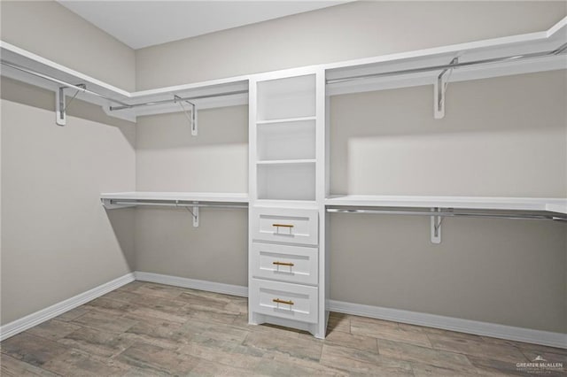 spacious closet featuring light wood-type flooring