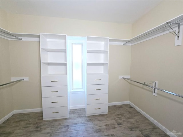 walk in closet featuring dark wood-type flooring