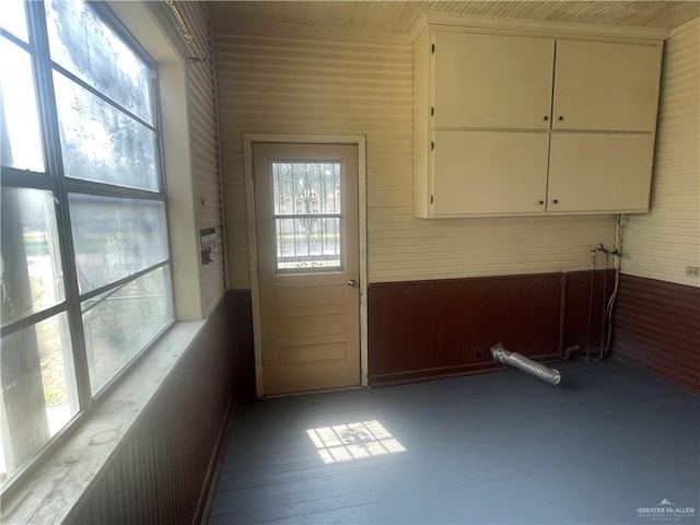 clothes washing area featuring wooden walls and a wealth of natural light