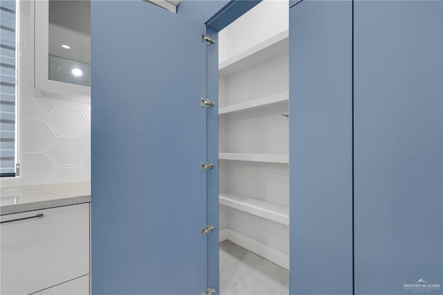 3005 N Alyna Ave, Edinburg, TX 78541 - pantry with elevator