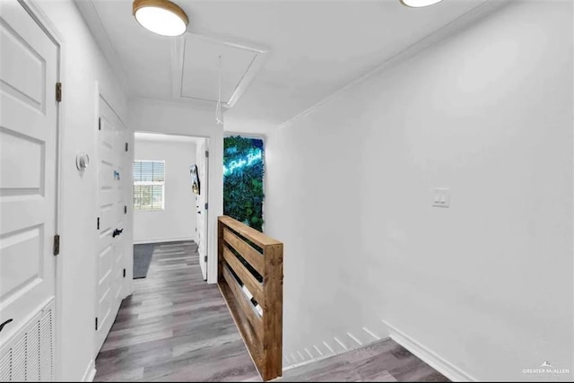 corridor featuring crown molding and wood-type flooring