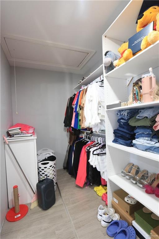 spacious closet with light hardwood / wood-style flooring