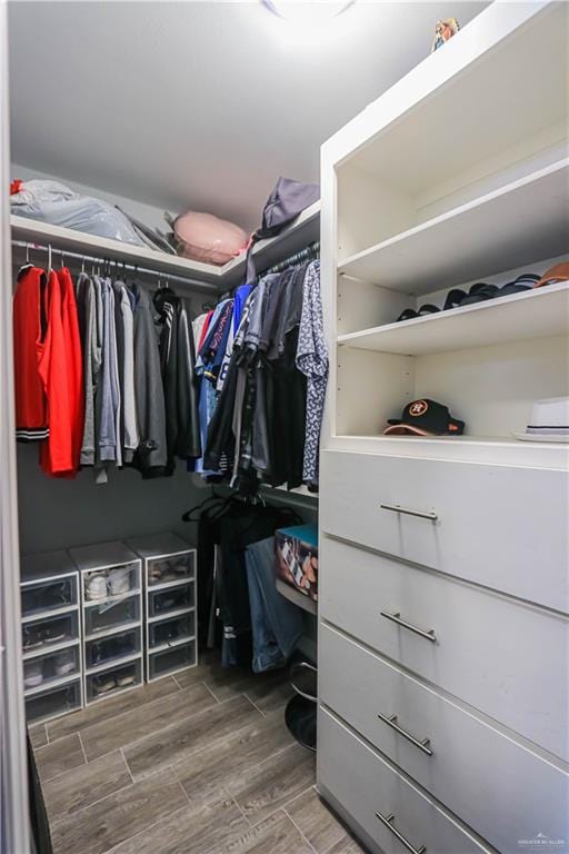 spacious closet with hardwood / wood-style floors