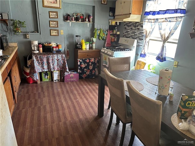 dining room with dark hardwood / wood-style flooring