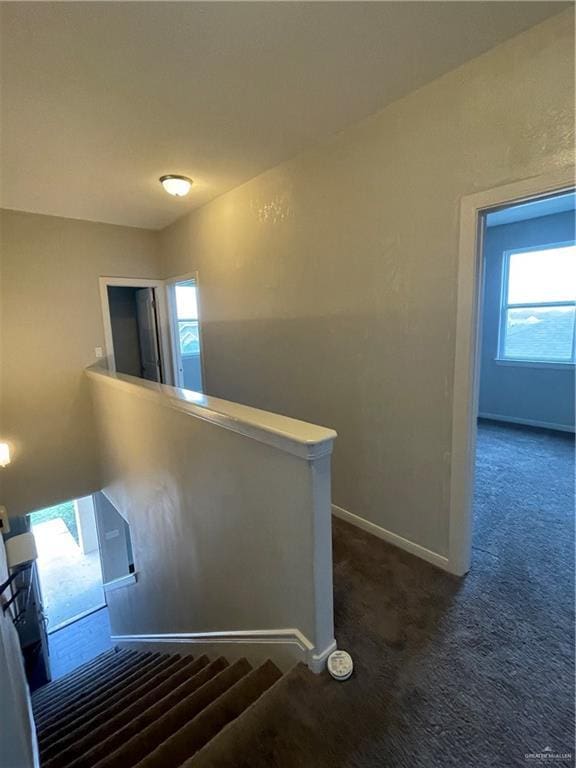 stairs with carpet floors