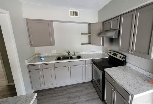 1600 Bridge Ave Unit 207, Weslaco, TX 78596 - kitchen featuring stainless steel electric range oven, a sink, under cabinet range hood, gray cabinetry, and open shelves