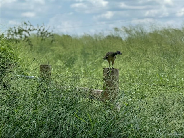 13307 Ash Ave, Edinburg, TX 78542 - view of undeveloped land