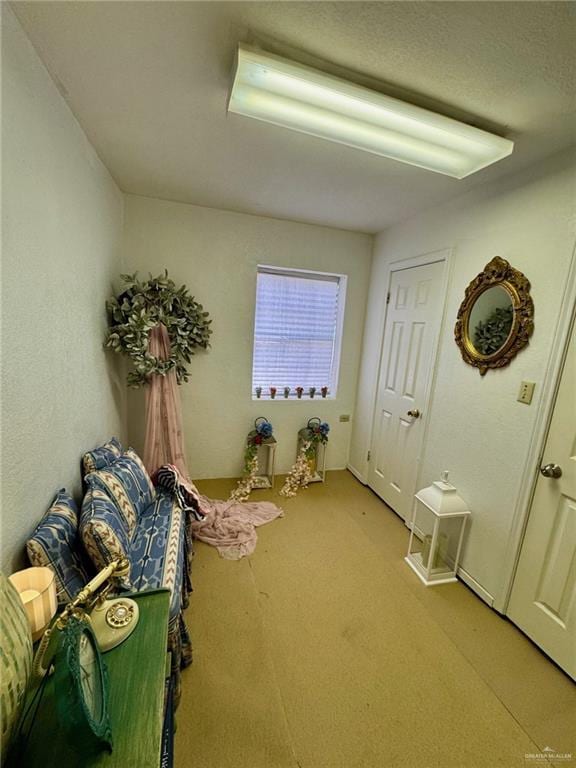 3813 N Taylor Rd, Mission, TX 78573 - bedroom featuring light carpet