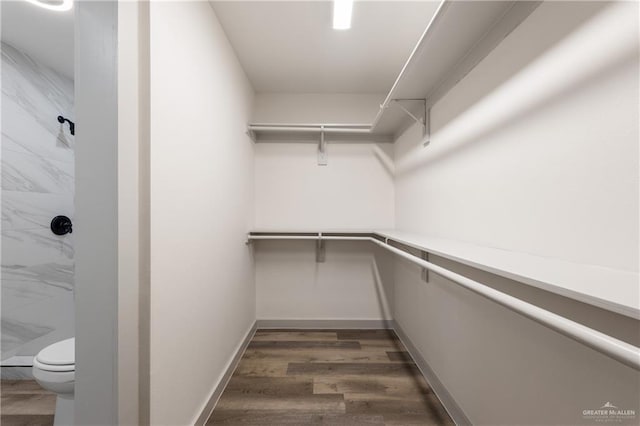 walk in closet with dark hardwood / wood-style flooring