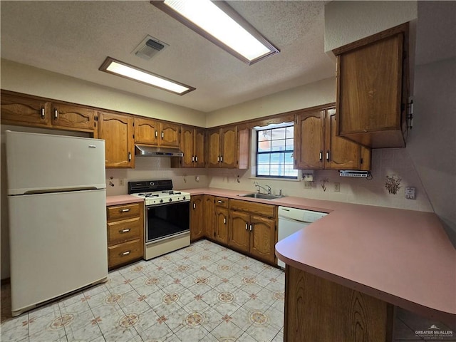 2028 Loker St, Mission, TX 78572 - kitchen featuring white appliances, under cabinet range hood, a sink, brown cabinetry, and light flooring