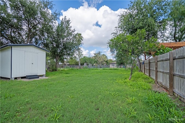 view of yard featuring a storage unit