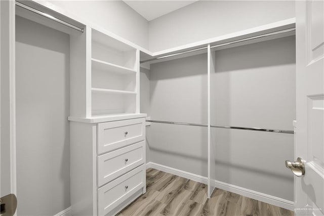 spacious closet with light wood-type flooring