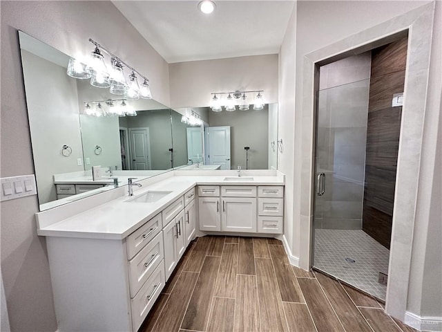 bathroom with vanity and a shower with shower door