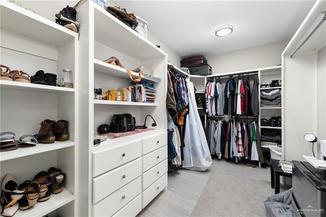201 White Oak Dr, Los Fresnos, TX 78566 - view of spacious closet