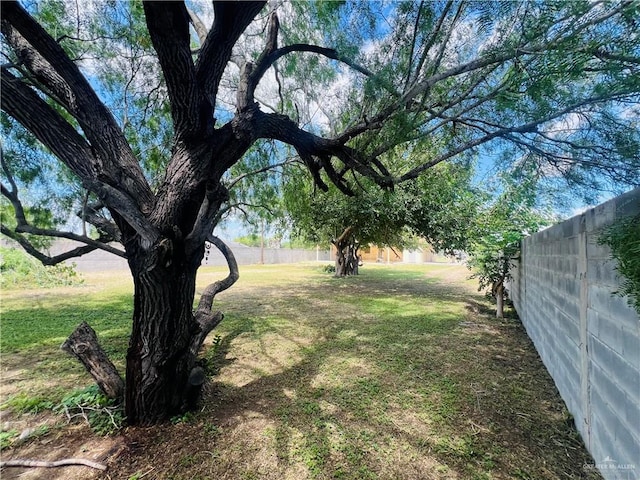 8200 Tierra Linda Ln, Mission, TX 78574 - view of yard