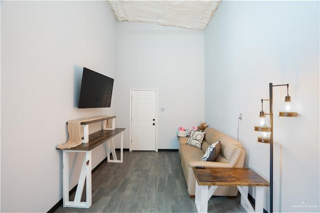 sitting room with dark hardwood / wood-style floors