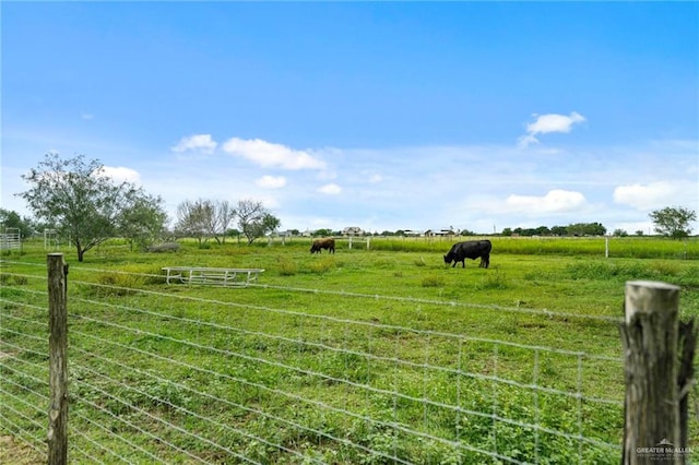 view of yard with a rural view