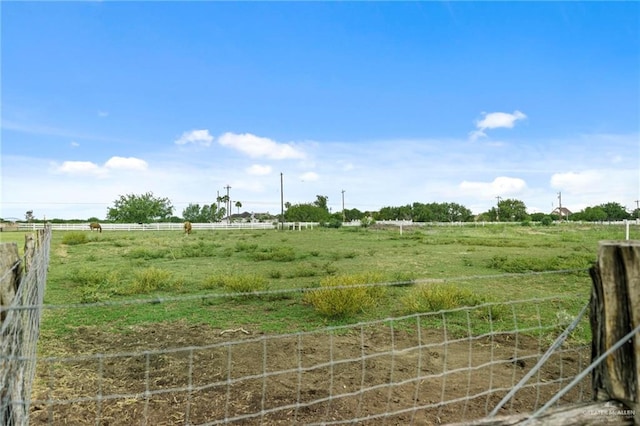 view of yard with a rural view