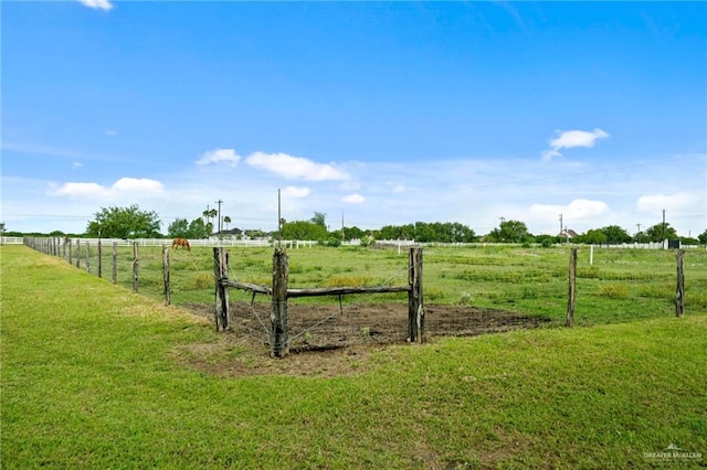 view of yard with a rural view