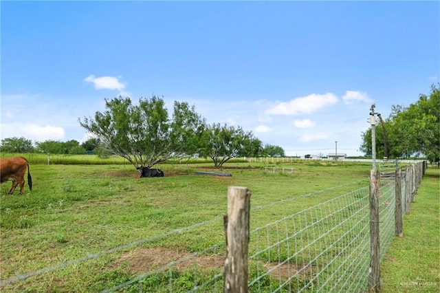 view of yard featuring a rural view