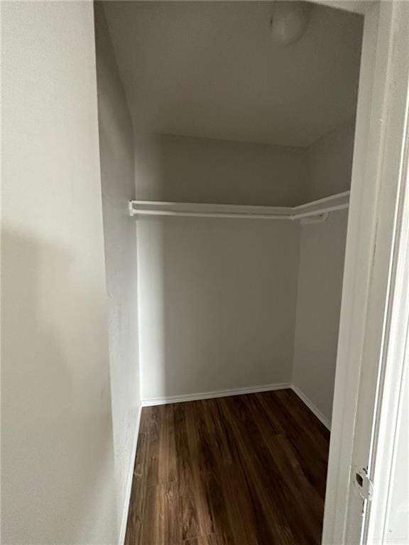 walk in closet featuring dark wood-type flooring