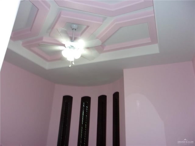 room details with a raised ceiling and ceiling fan